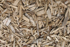 biomass boilers Cuckoo Tye