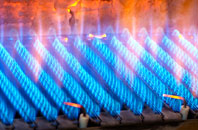 Cuckoo Tye gas fired boilers
